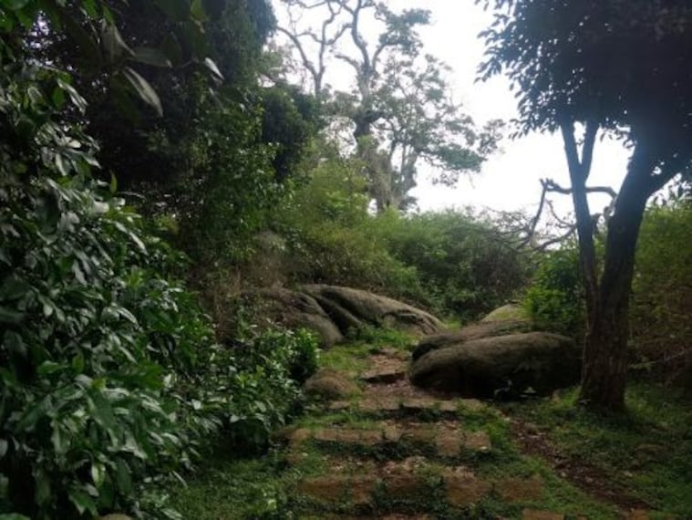 Swamimalai Hills-2